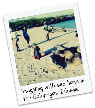 Laying with sea lions in the Galapagos Islands