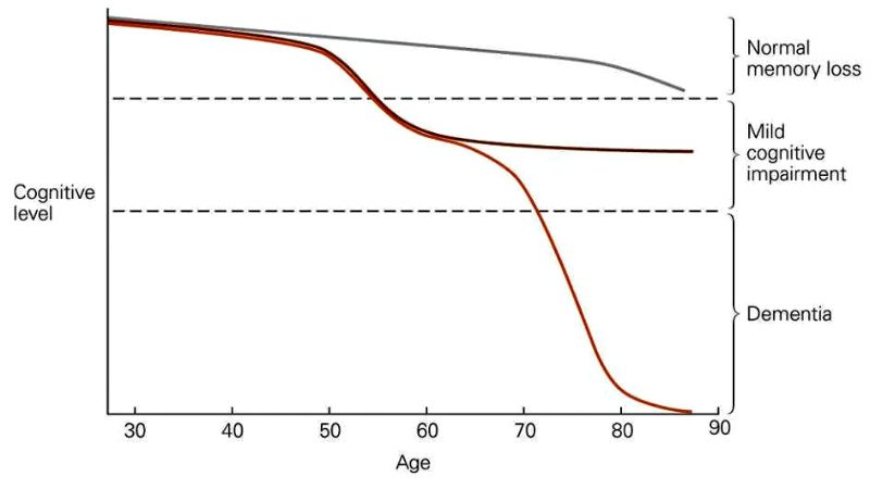 Aging Graph