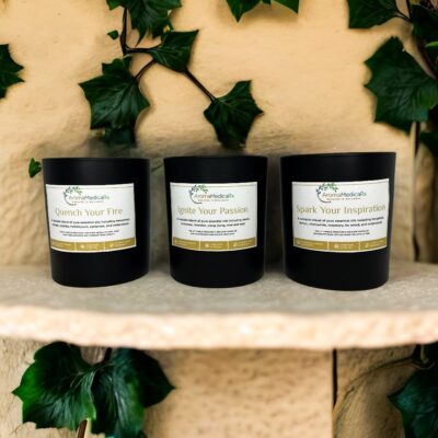 Gift Set of Two 8 oz Candle